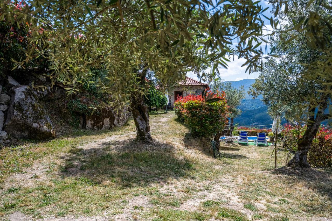 Quinta Da Baldieira Мондин-ди-Башту Экстерьер фото