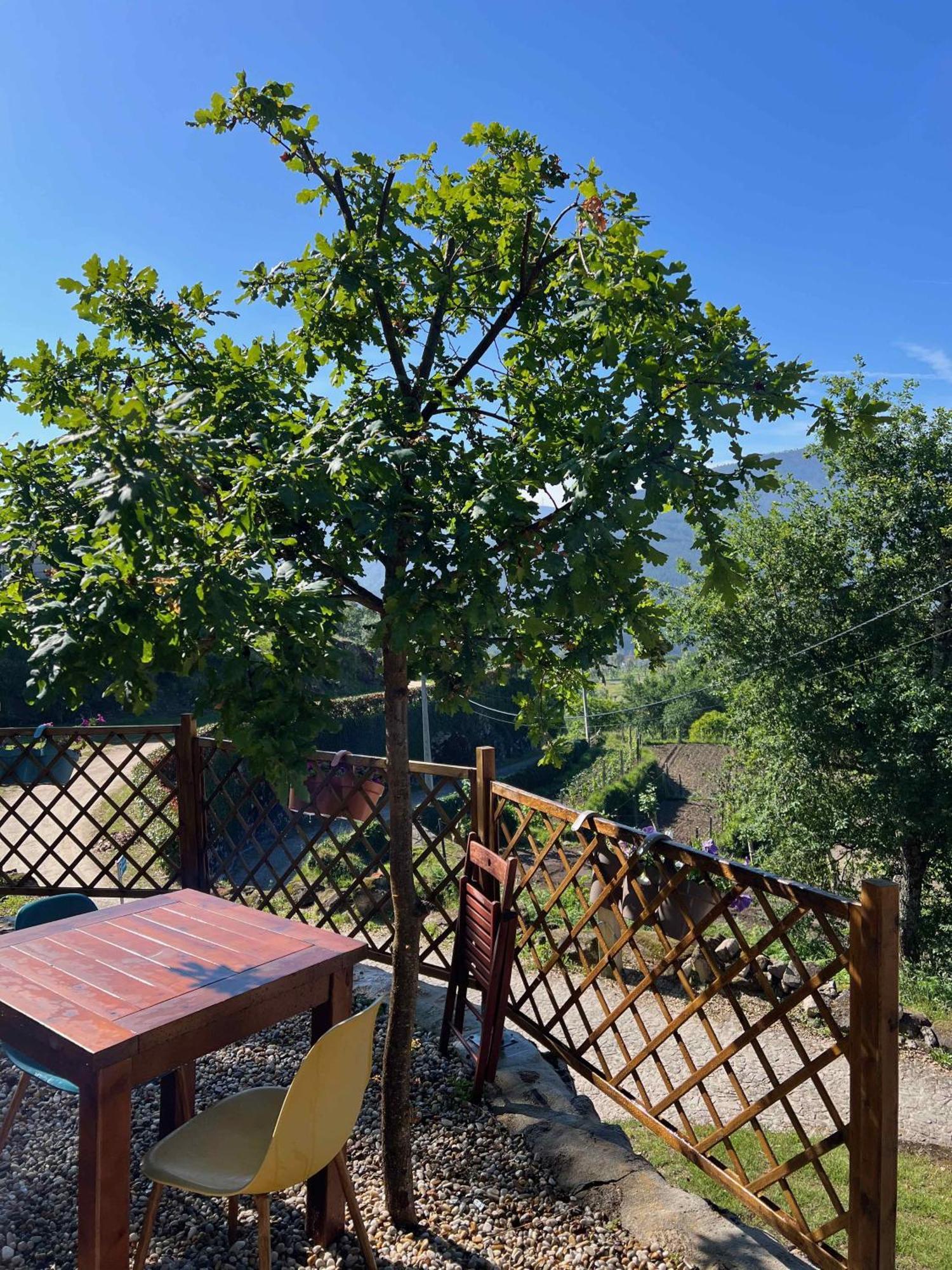 Quinta Da Baldieira Мондин-ди-Башту Экстерьер фото